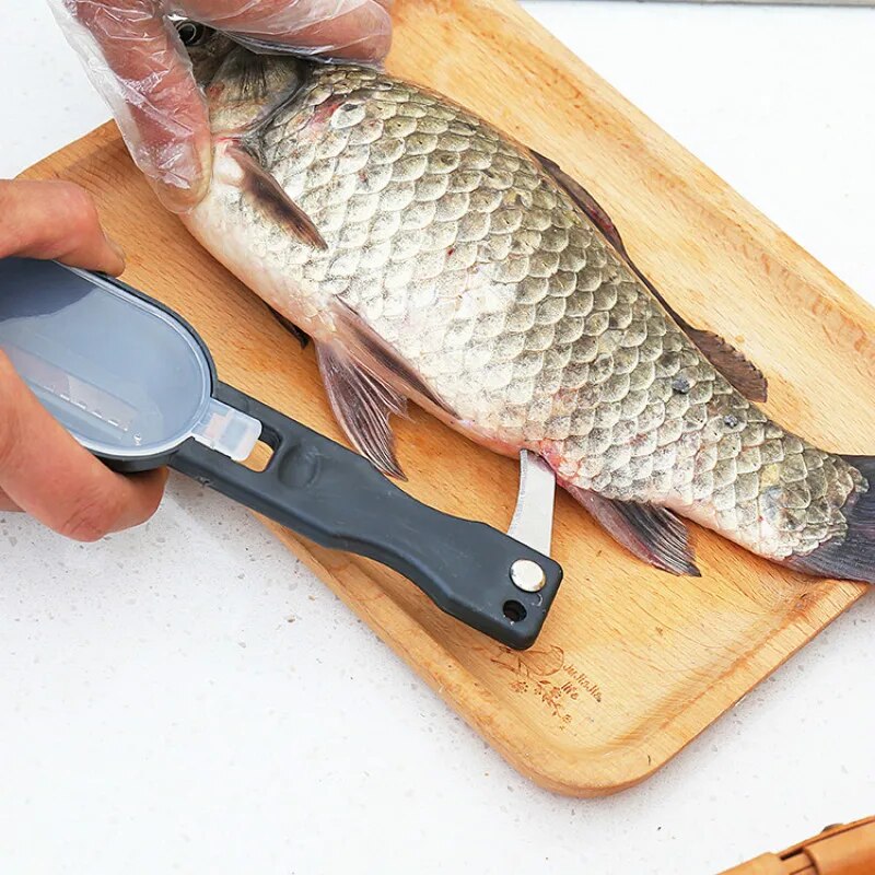 grattoir à écailles de poisson