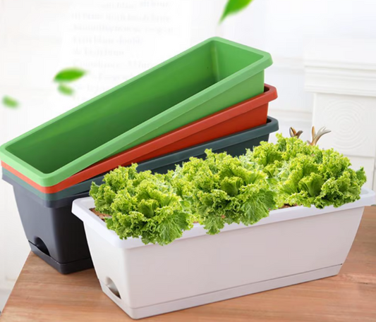 Bac à Fleurs Rectangulaire avec Système de Drainage Intégré