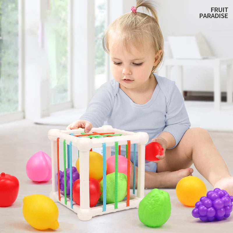 7Pcs cube éducatif forme