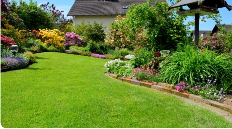 Jardin